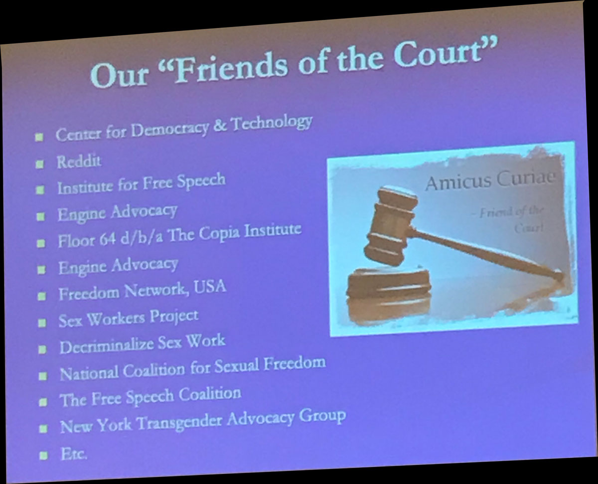 DSW Supports the Continued Legal Fight Against FOSTA/SESTA